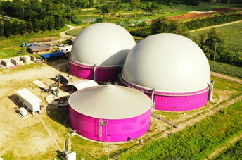 Los fermentadores con agitadores Biobull® de streisal producen biogás a partir de residuos de piña.
